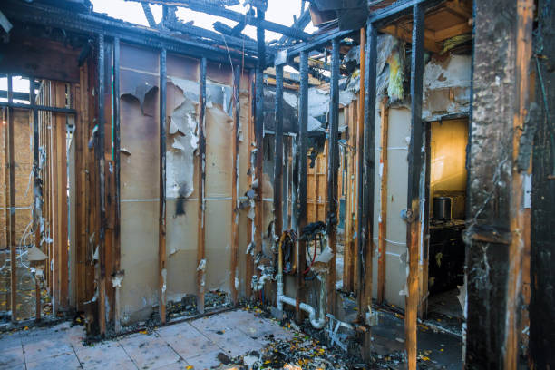 Professional Odor Removal technician working in Carrollton, KY