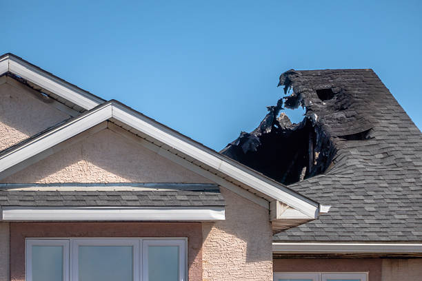 Top rated local Odor Removal specialists in Carrollton, KY